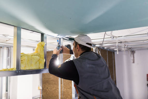 Best Specialized Insulation Services in Crane, MO