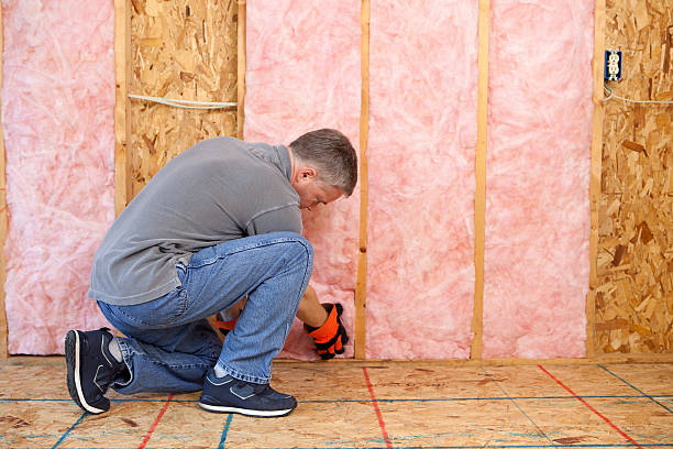 Best Spray Foam Insulation in Crane, MO