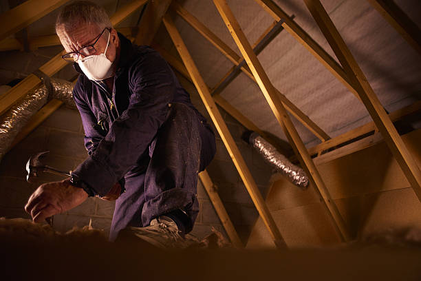 Types of Insulation We Offer in Crane, MO